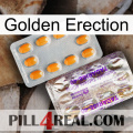 Golden Erection new12